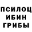 Галлюциногенные грибы Magic Shrooms GodsWork InProgress
