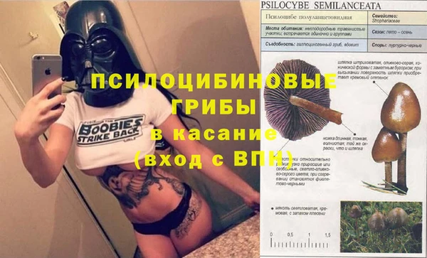 соль ск Нефтегорск
