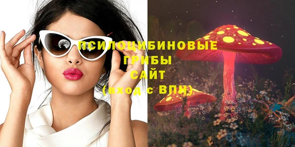 соль ск Нефтегорск