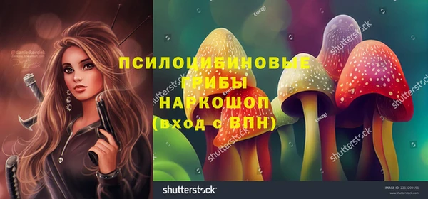 PSILOCYBIN Горнозаводск